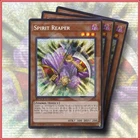 Red-Eyes Black Dragon