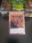 The Winged Dragon of Ra