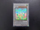 Stardust Dragon