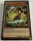 Link Spider