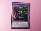 Thunder Dragon Fusion
