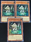 Amazoness Archer