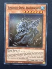 Superancient Deepsea King Coelacanth
