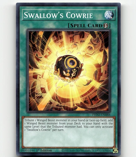 Swallow's Cowrie