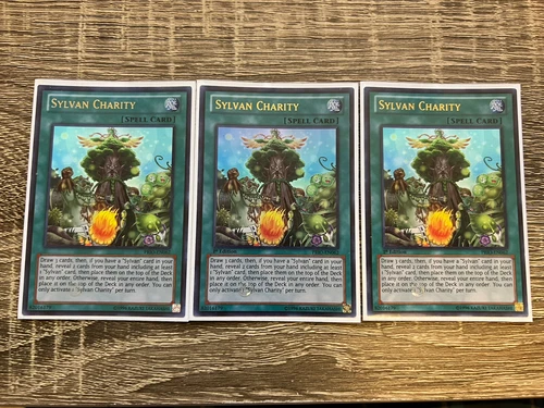 Sylvan Charity