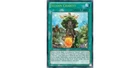 Sylvan Charity