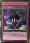 Tachyon Transmigration