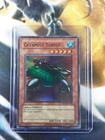 Catapult Turtle
