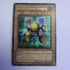 Beta The Magnet Warrior