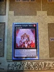 Brotherhood of the Fire Fist - Tiger King