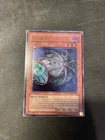 Cyber Shadow Gardna