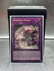 Dominus Purge