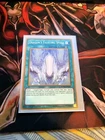 Red-Eyes Spirit