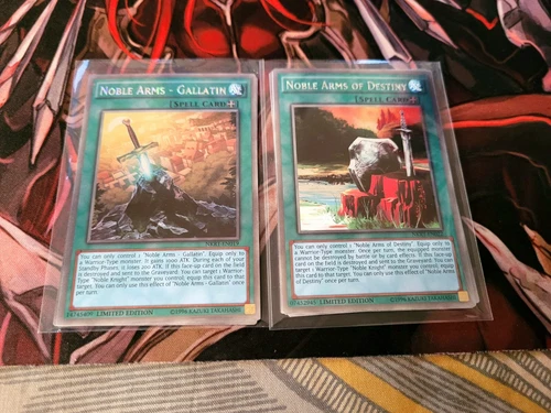 Right Arm of the Forbidden One