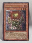 Seed of Flame