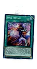 Soul Servant