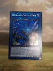 Unchained Soul of Rage