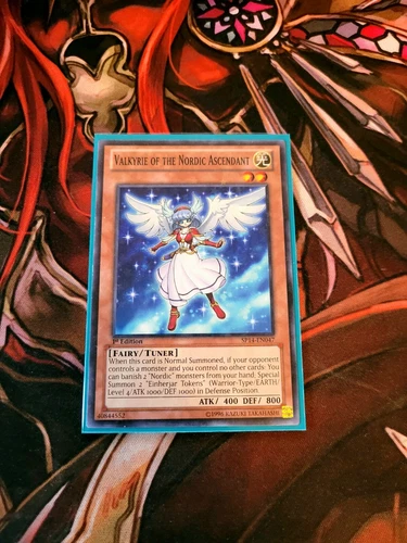 Valkyrie of the Nordic Ascendant