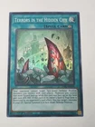 Terrors in the Hidden City