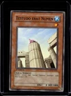 Testudo erat Numen