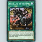 First of the Dragons