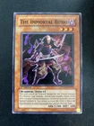 The Immortal Bushi