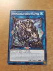 Ragnaraika Selene Snapper