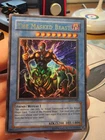 The Masked Beast