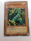 Thunder Dragon