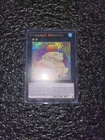 Toadally Awesome