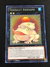 Toadally Awesome