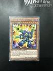 Toon Barrel Dragon