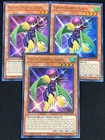 Harpie Lady