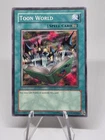 Toon Rollback
