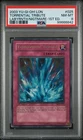 Torrential Tribute