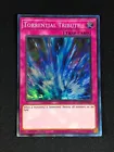 Torrential Tribute