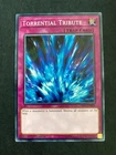 Tribute to The Doomed