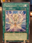 Transcendent Wings