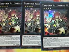 Traptrix Allomerus