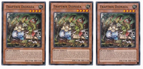 Traptrix Atrax
