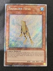 Treeborn Frog