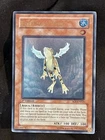 Treeborn Frog