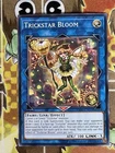 Trickstar Bloom