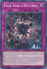 T.G. Hyper Librarian