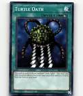 Turtle Oath