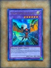 Twin Photon Lizard