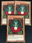 Tytannial, Princess of Camellias