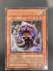 Rhinotaurus