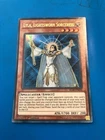 Dedication through Light and Darkness