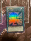7 Completed